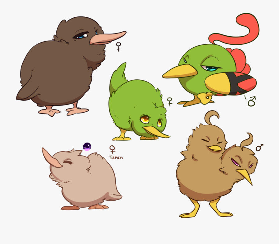 Kiwi Bird Drawing Cute | Bruin Blog