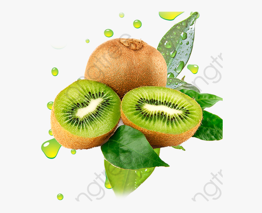 Kiwi, Fruit, Green Png Transparent Clipart Image And - Kiwi Png, Transparent Clipart