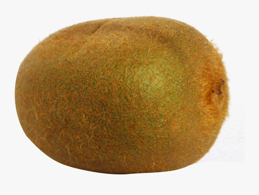 Picture Transparent Download Kiwi Clipart Kind Fruit - Kiwifruit Png, Transparent Clipart