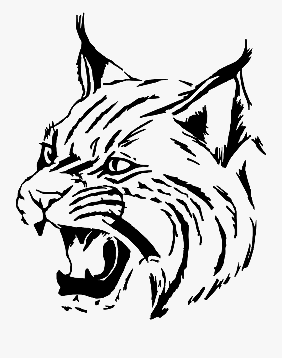 Bobcat Clip Art - Wildcat Png, Transparent Clipart