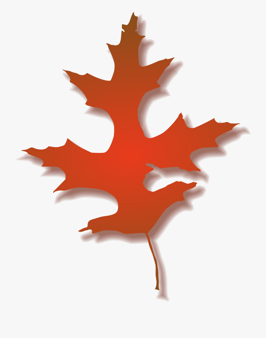 Clipart - Red Oak Leaf Clipart, Transparent Clipart