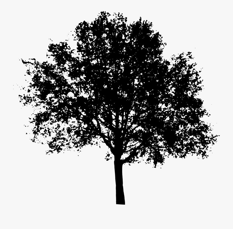 Tree Silhouette Clip Art - Transparent Background Tree Silhouette, Transparent Clipart
