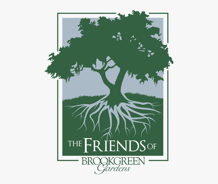 Transparent Group Of Friends Png - Live Oak Tree Black And White, Transparent Clipart