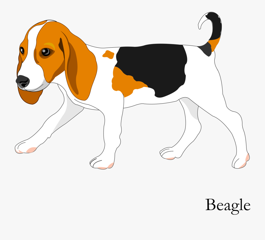 Banner Freeuse Download Vector Cartoon Hand Painted - Cute Beagle Cartoon Drawing, Transparent Clipart