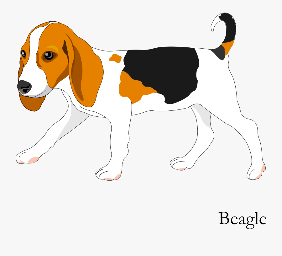 Banner Freeuse Download Vector Cartoon Hand Painted - Cute Beagle ...