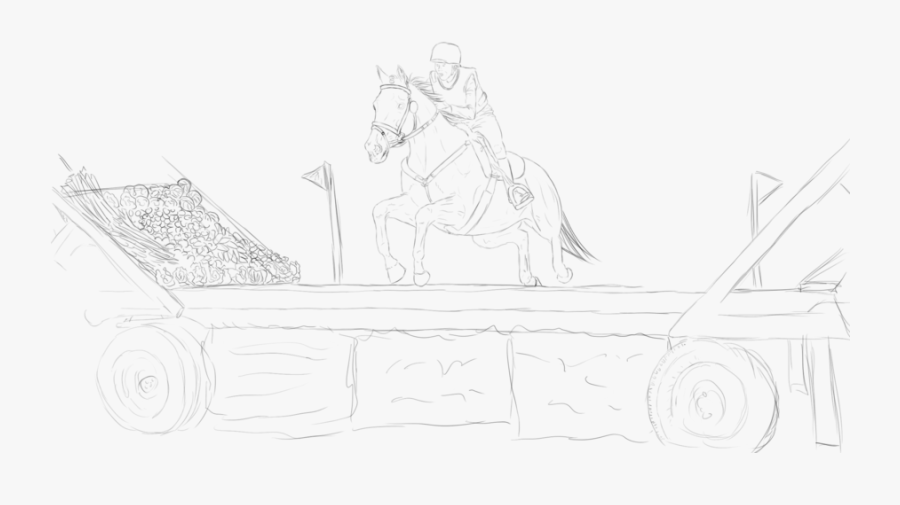 15 Horse Drawing Cross Country For Free Download On - Line Art, Transparent Clipart