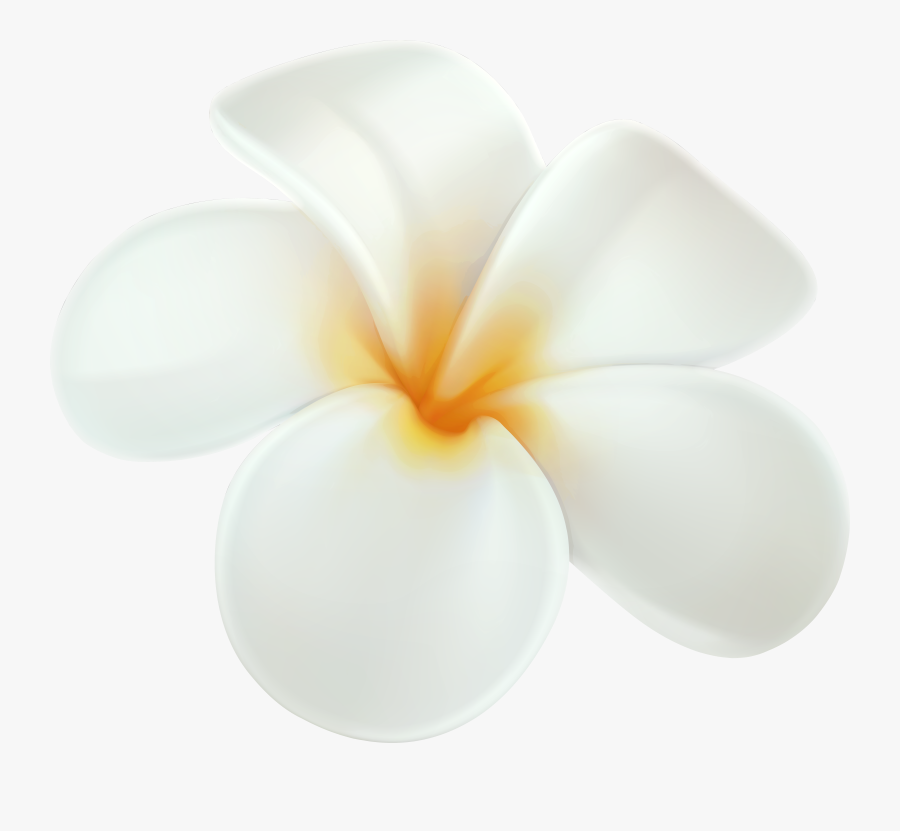 Plumeria Png Clip Art, Transparent Clipart