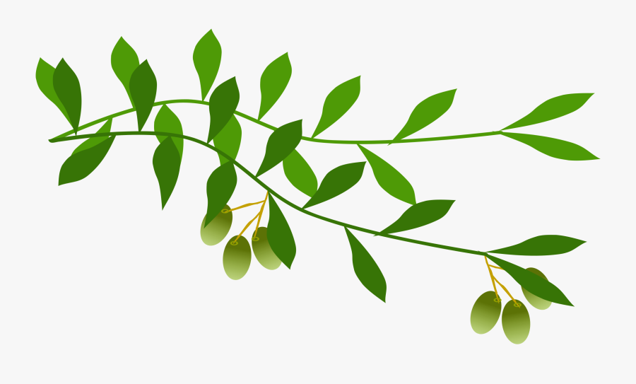 Olive Branch Clip Art - Olive Branch Free Clip Art, Transparent Clipart