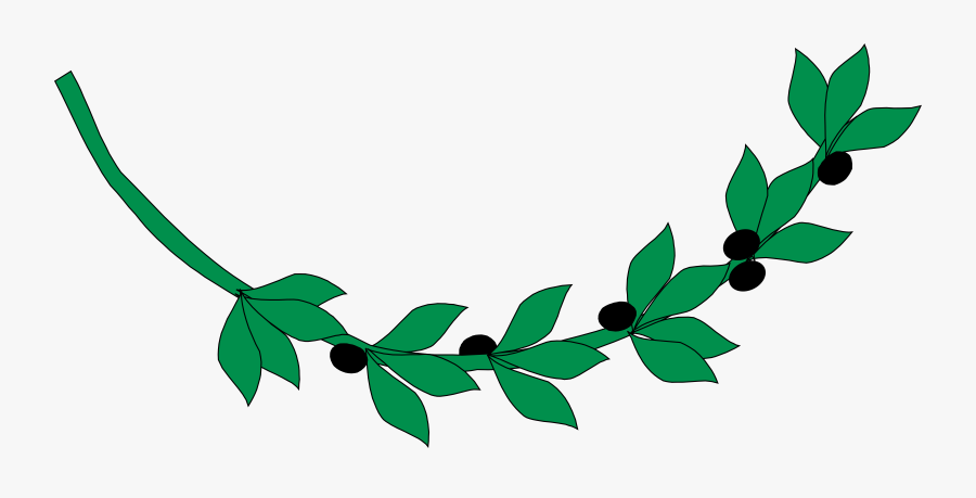 Olive Branch - Ancient Greece Olive Branch, Transparent Clipart