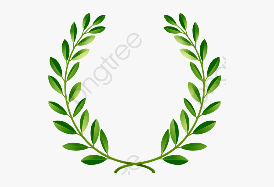 Greenpeace Olive Branch, Branch Clipart, Reaching Out, - Green Laurel ...
