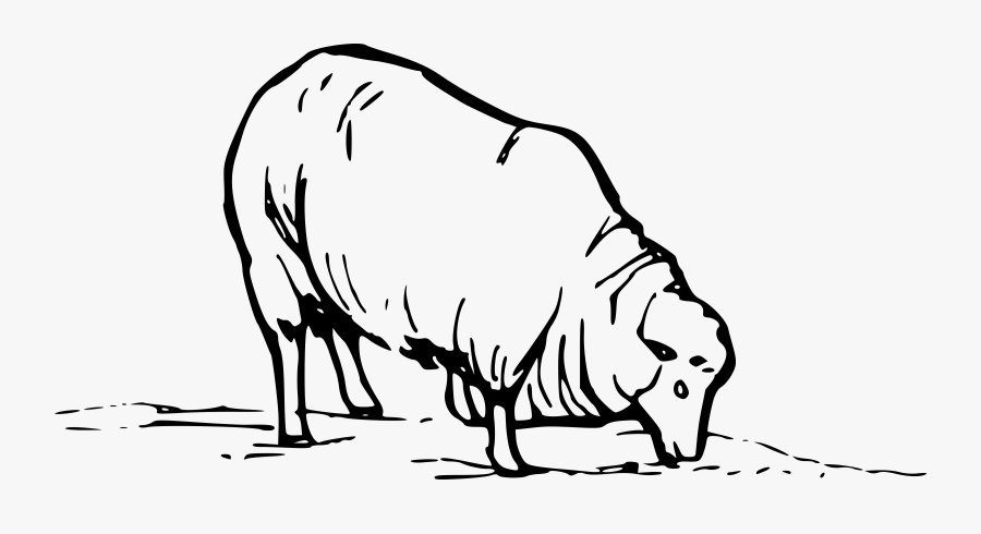 Viewed From This Side, It"s An Early Lawn Mower - Sheep Clip Art, Transparent Clipart