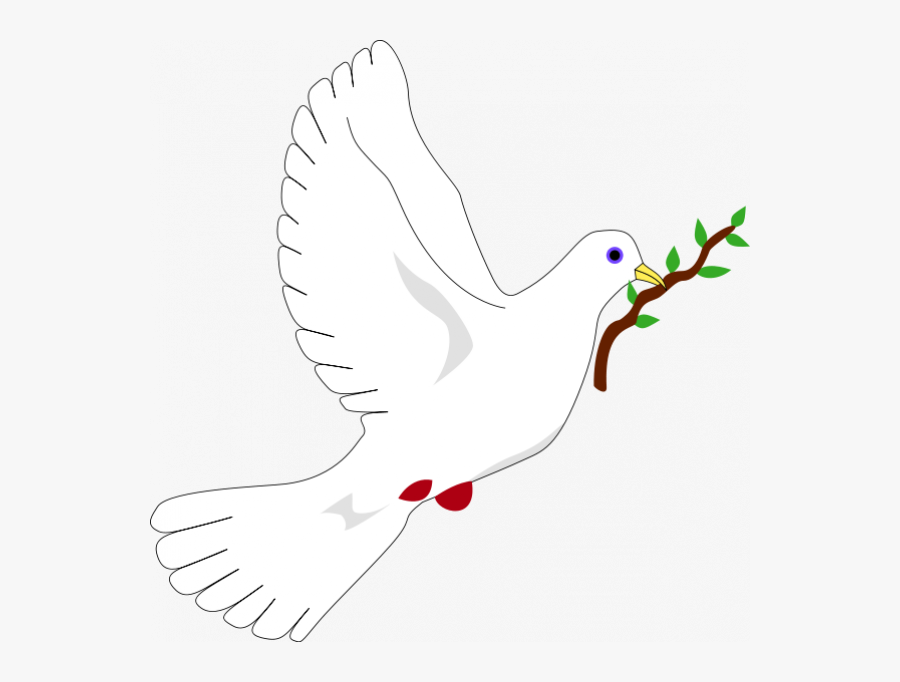 Dove With Olive Branch Png Images Transparent Png - Symbol Of Peace ...