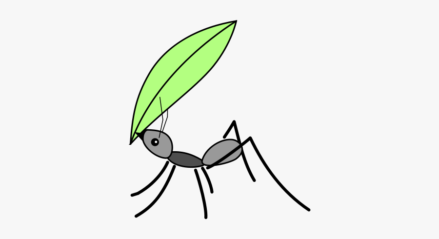Ant With Leaf Drawing, Transparent Clipart
