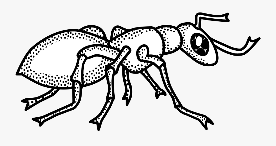 Clip Art Clipart Line Drawing Cute - Clip Art Black And White Ant, Transparent Clipart