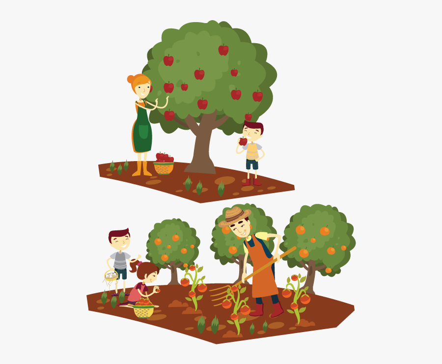 Cartoon Farmer Home - Apple Tree Picking Cartoon, Transparent Clipart