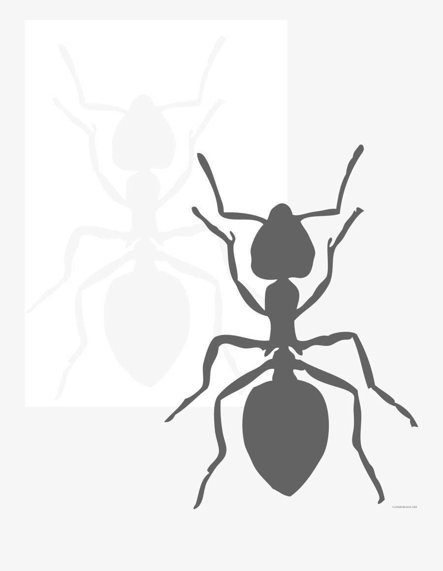 Page Of Clipartblack Com Black And White - Ant Clip Art, Transparent Clipart