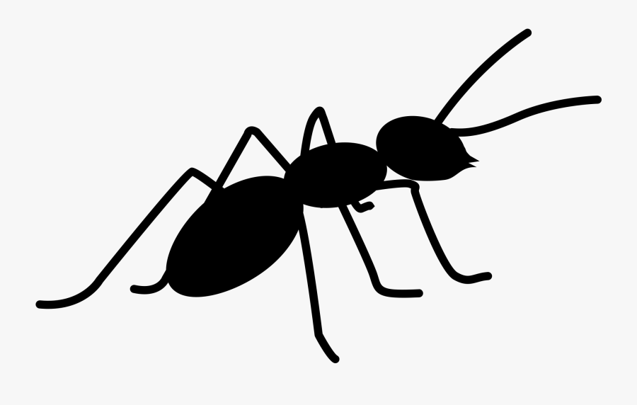 Clip Art Face Of An Ant - Ant Icon Png, Transparent Clipart