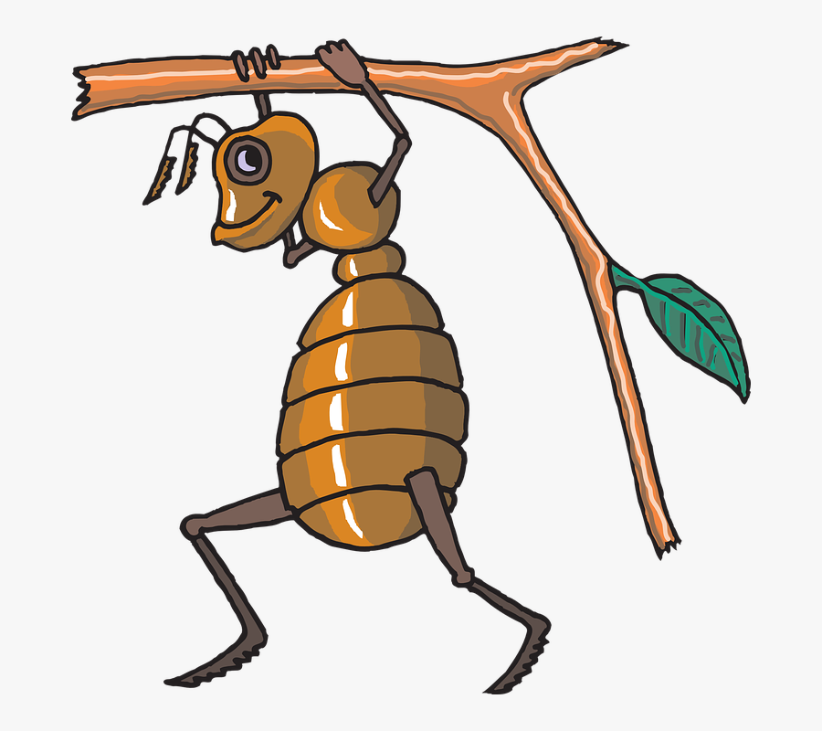 Free Vector Bee, Transparent Clipart