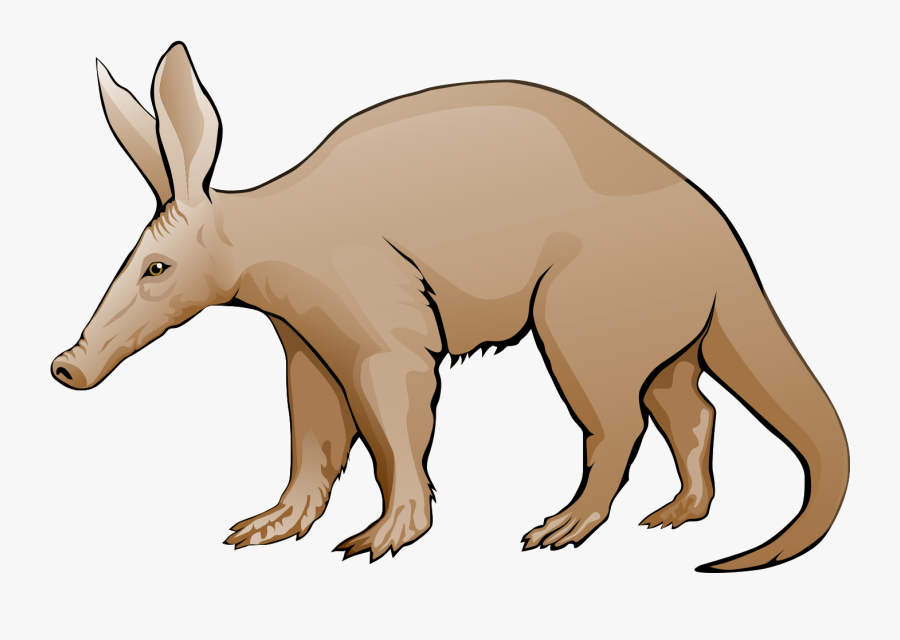 Aardvark Clip Art - Aardvark Png, Transparent Clipart