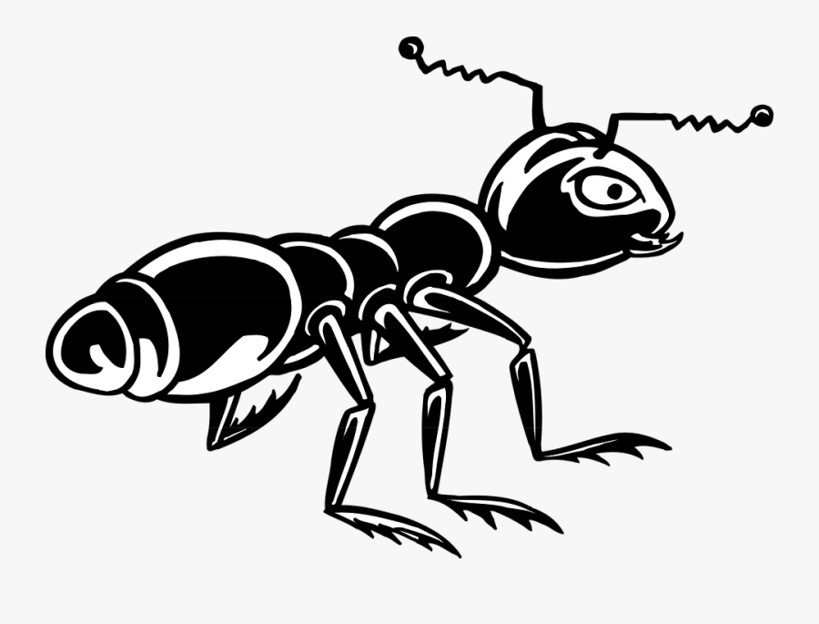 Transparent Ant Clip Art - Stiker Semut, Transparent Clipart