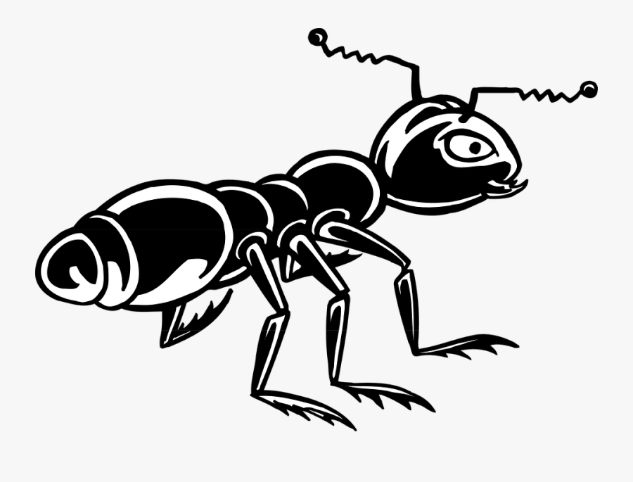 Transparent Ant Clip Art - Stiker Semut , Free Transparent Clipart ...