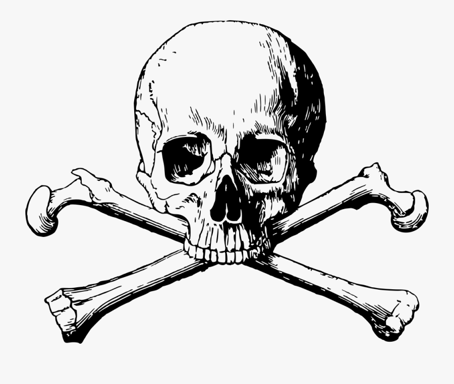 Skull And Cross Bones - Skull And Bones Png Transparent, Transparent Clipart