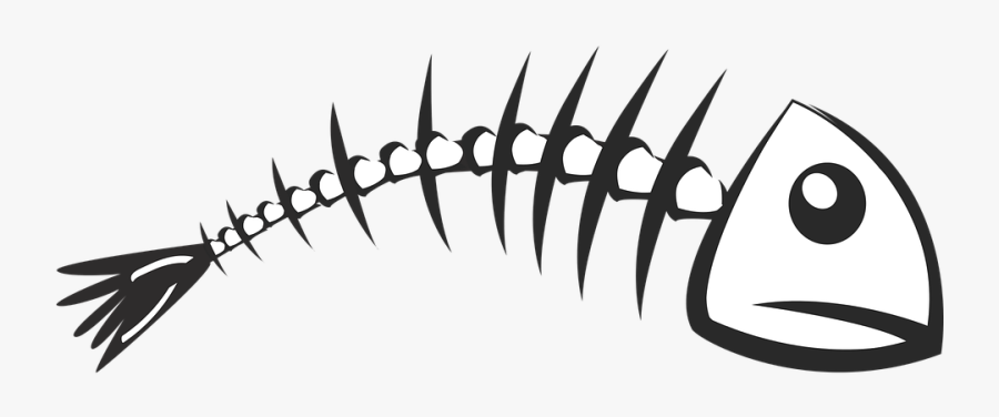 Skeleton, Fish, Fish Bone, Clip Art, Spine, Fishing - Fish Bone Png, Transparent Clipart