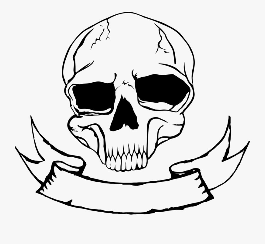 Clip Art Skeleton Nose - Skull Nose Drawing, Transparent Clipart