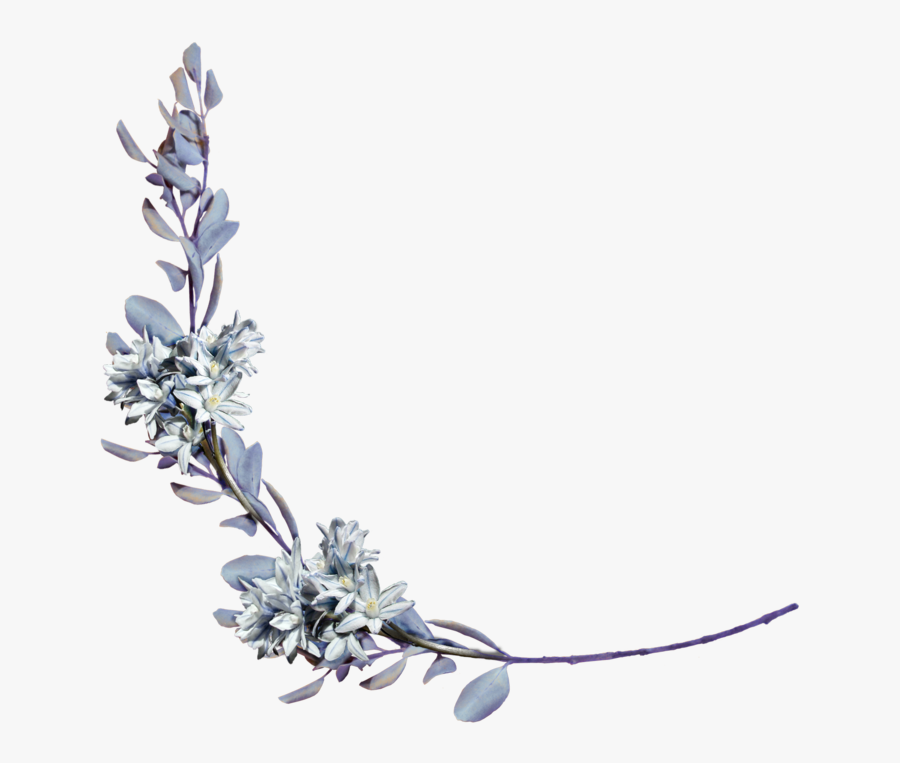 Png Cotton Branch Wreath - Silver Flower Png, Transparent Clipart