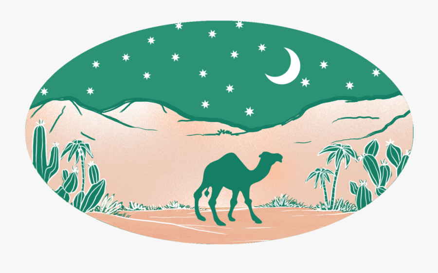 Desert Night - Arabian Camel, Transparent Clipart