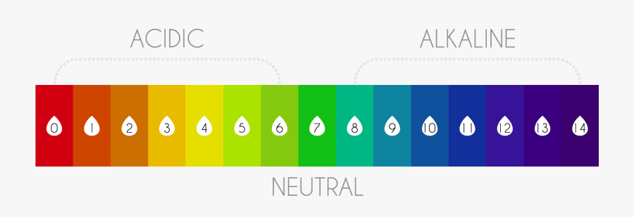 Transparent Ph Scale Clipart - Ph Scale Colors 1 14 , Free Transparent ...