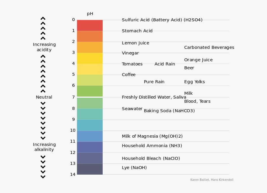 Clip Art Ph Scale Coloring - Gcse Acids And Alkalis , Free Transparent ...