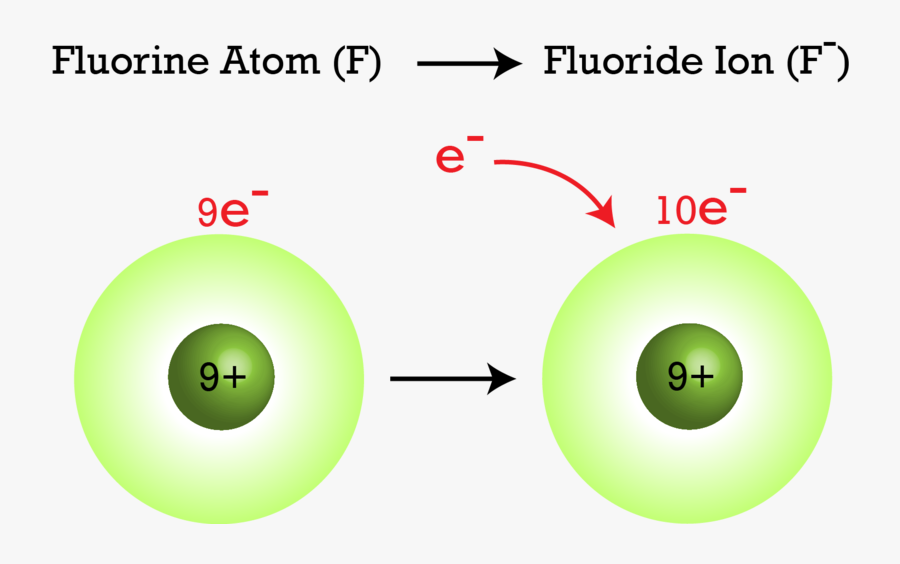 1 атом и 2 иона. Ионы фтора. Атомы и ионы. Анион фтора.