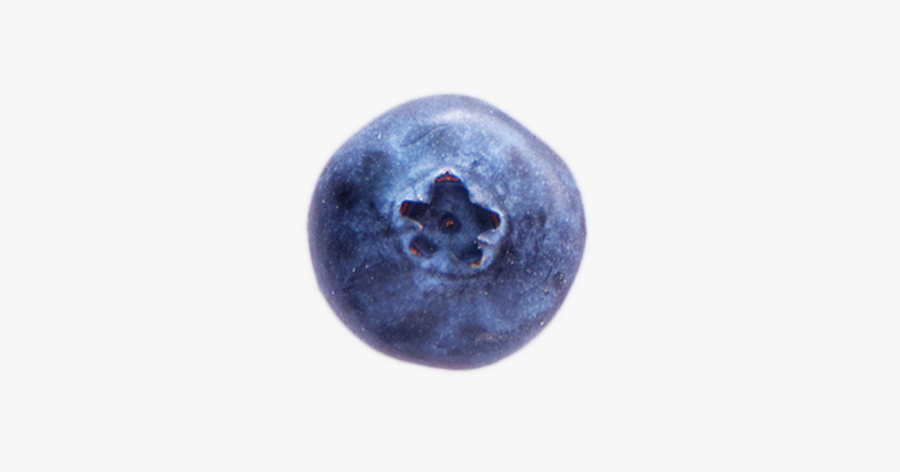 A Shadow A Ripe Blueberry - Bilberry, Transparent Clipart