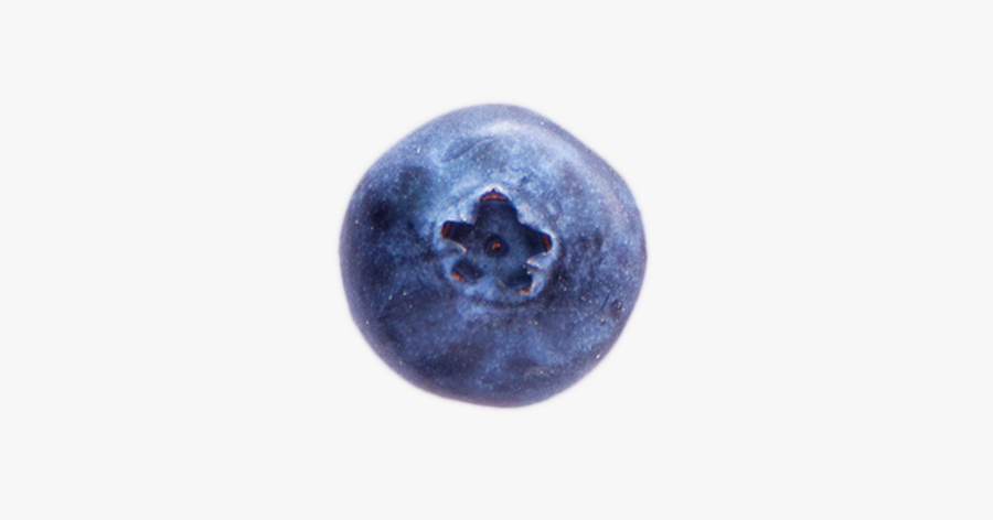 A Shadow A Ripe Blueberry Bilberry Free Transparent Clipart Clipartkey