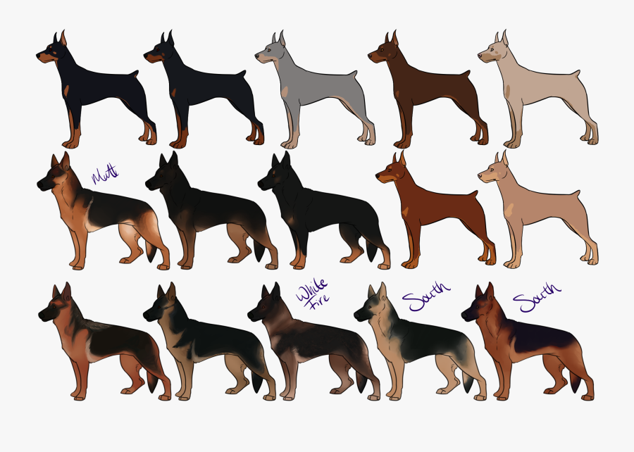 German Shepherd Dobermann German Pinscher Puppy Miniature - German Shepherd Black Doberman, Transparent Clipart