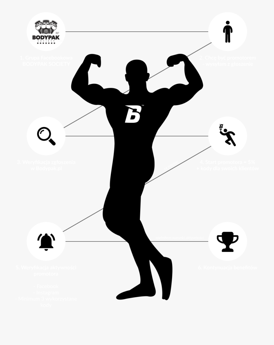 Muscle Muscular System Human Body Biceps - Transparent Background Muscles Clipart, Transparent Clipart
