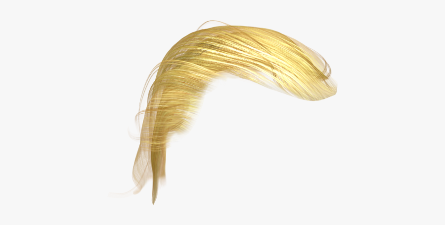 Donald Trump Hair Png - Blond Hair Png Trump , Free Transparent Clipart ...