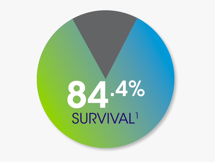 84 - 4% Survival¹ - Circle, Transparent Clipart