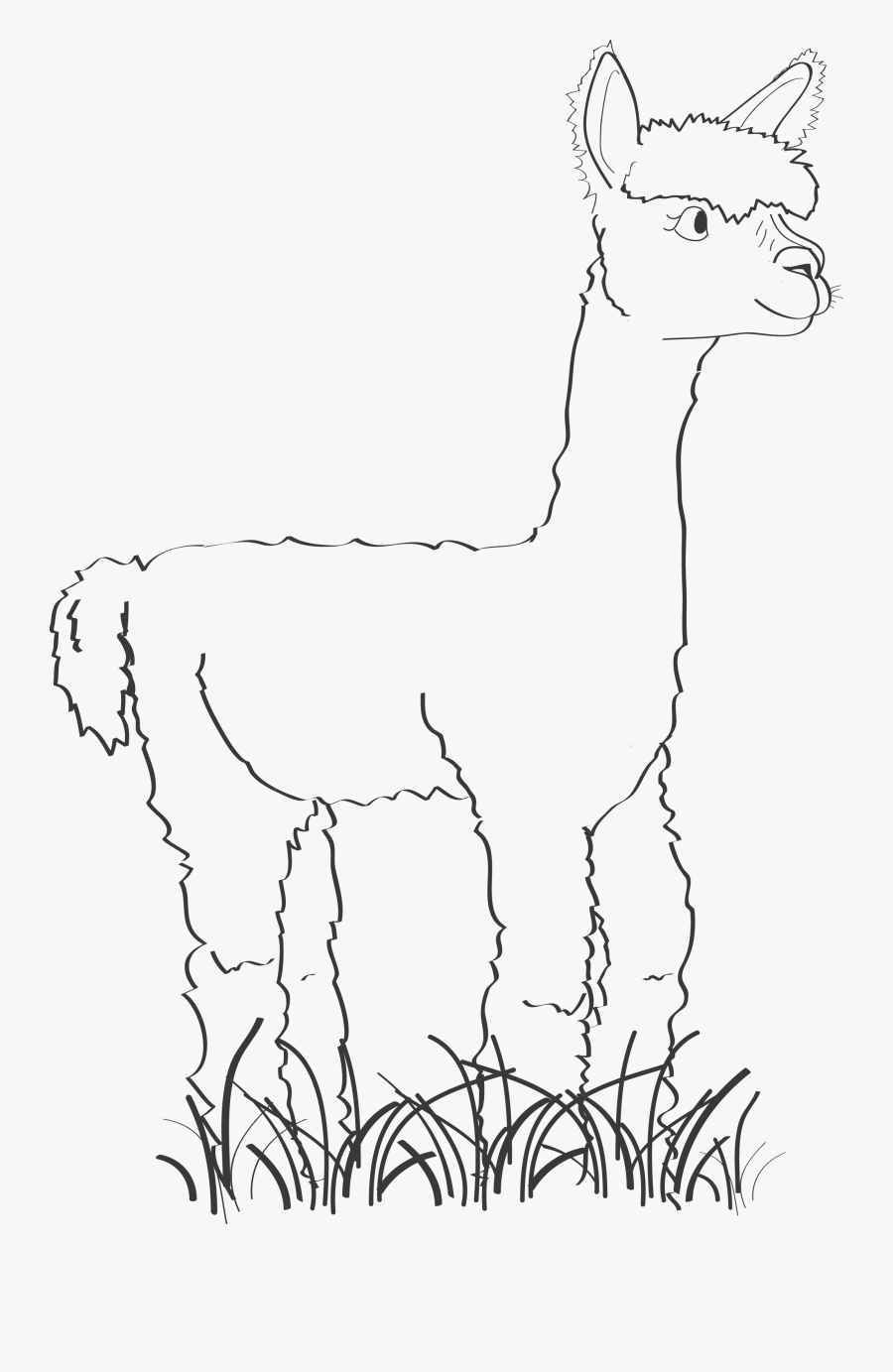 Other Ways To Help Our Alpacas Poundsforpacas - Llama Drawings Cliparts, Transparent Clipart