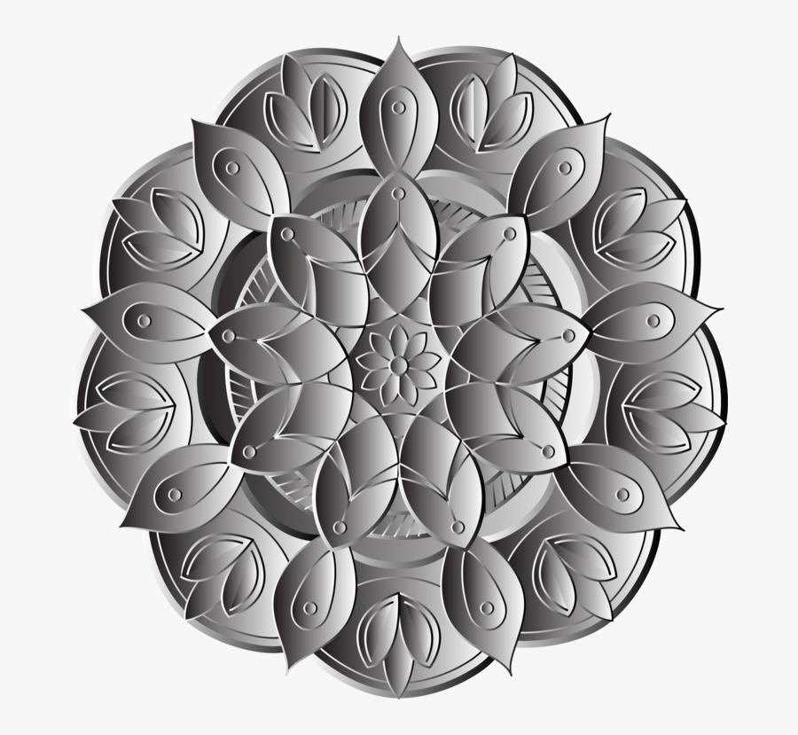 Plant,circle,symmetry - Circle, Transparent Clipart