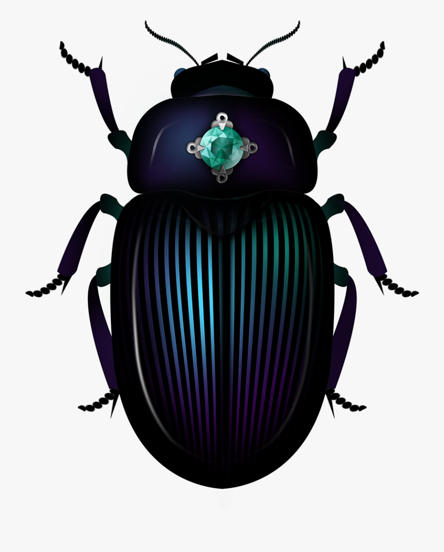 Dung Beetle, Transparent Clipart