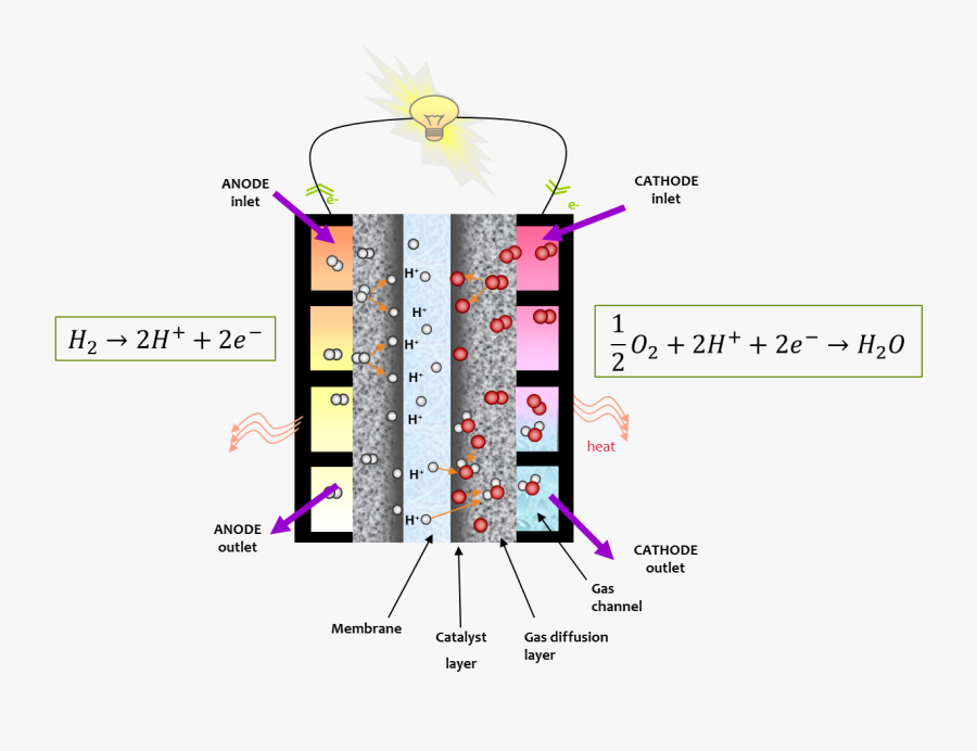 Водородный элемент. Топливные элементы - ячейка (fuel Cell). Топливный элемент с протонообменной мембраной. Топливный элемент с протонообменной мембраной устройство. Мембрана водородного топливного элемента.