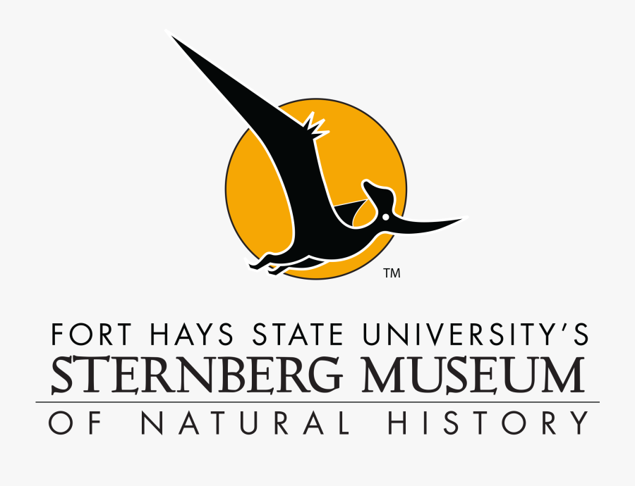 Sternberg Museum - Fort Hays State University Sternberg Museum Of Natural, Transparent Clipart