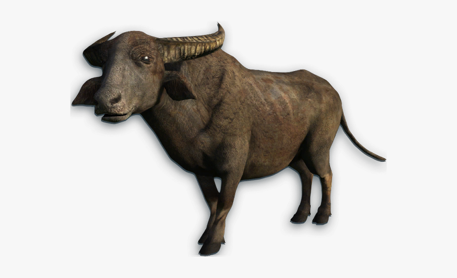 Water Buffalo Png, Transparent Clipart