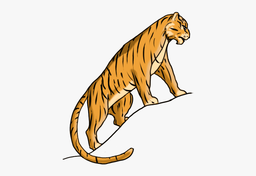 How To Draw A Tiger Easy For Kids - Tiger Easy To Draw, Transparent Clipart