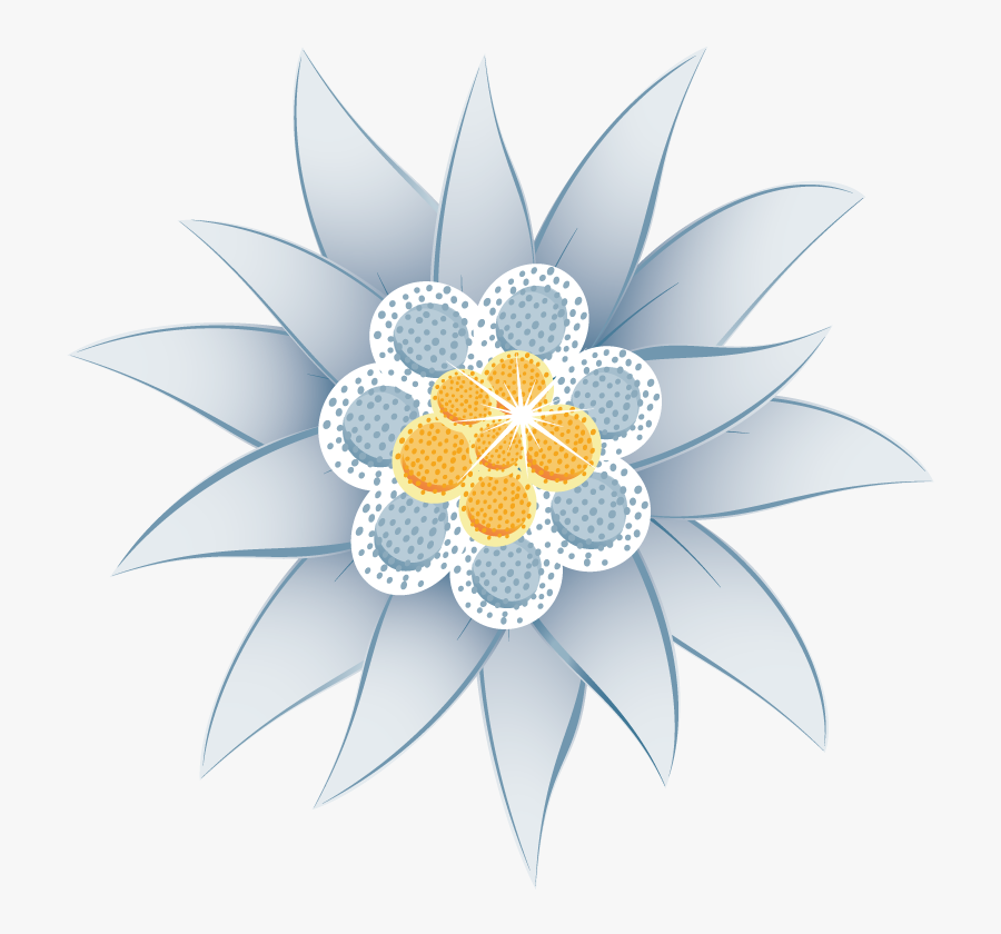 Transparent Edelweiss Flower Clipart - Edelweis Png, Transparent Clipart