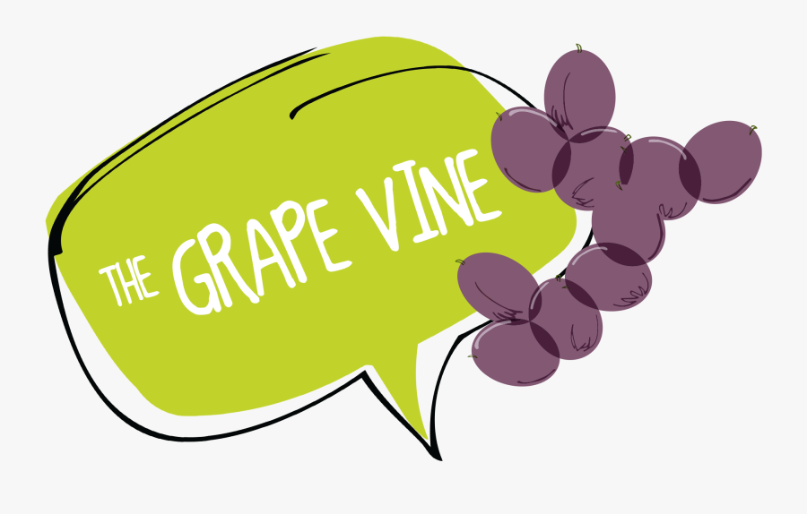 Grape Vine Website Banner - Thara Jordana, Transparent Clipart
