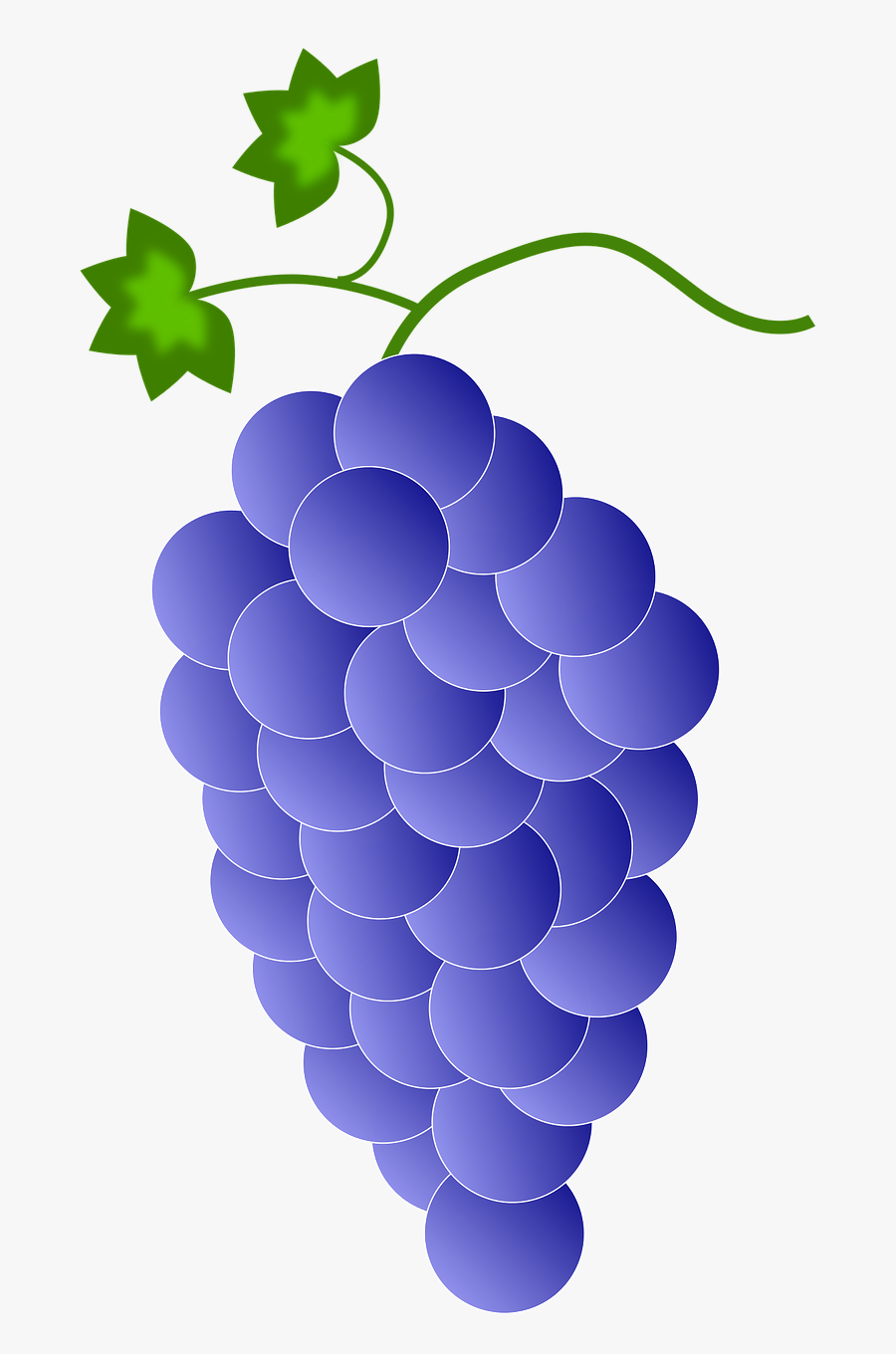 Transparent Grape Vines Clipart - Purple Grapes, Transparent Clipart
