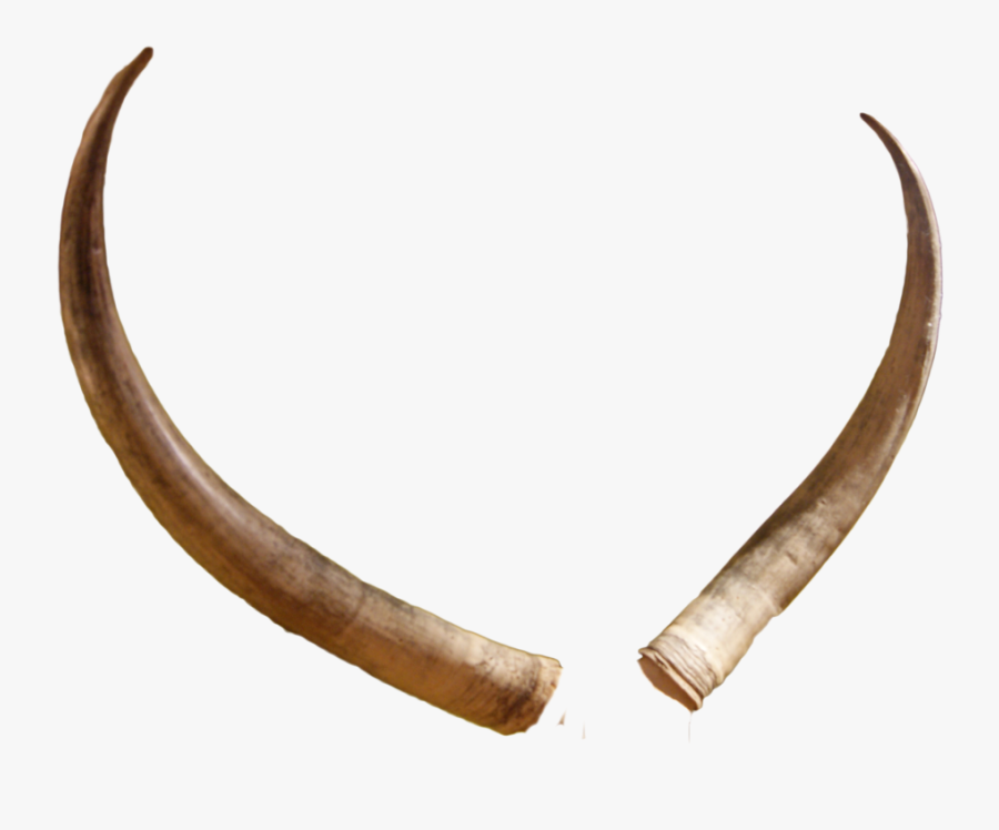 Blowing-horn - Animal Horns Transparent, Transparent Clipart